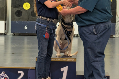 PXL_20260215_220532186