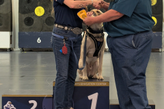 PXL_20260215_220532815