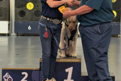 PXL_20260215_220533212