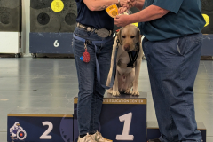 PXL_20260215_220533708