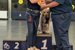 PXL_20260215_220534146