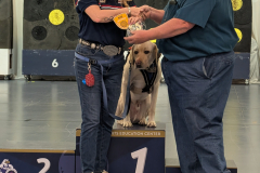 PXL_20260215_220534585